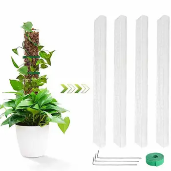 1 комплект Шесты из мха 3 шипа Пластиковые опорные столбы для растений Вьющиеся комнатные растения Столбы из мха