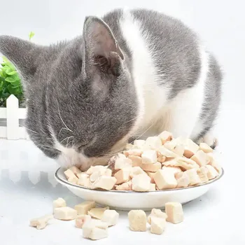 Китайский производитель чистый натуральный органический корм для кошек с высоким содержанием белка без зерна сухой корм для кошек