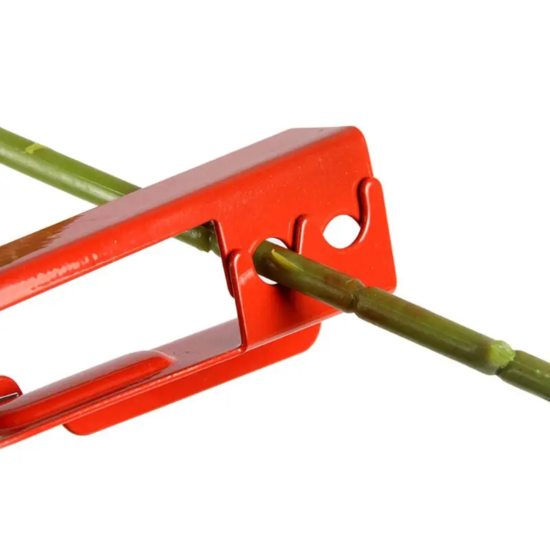 5,5-дюймовый плоскогубцы с заусенцами Розовый лист Шип Инструмент для удаления шипов Красный