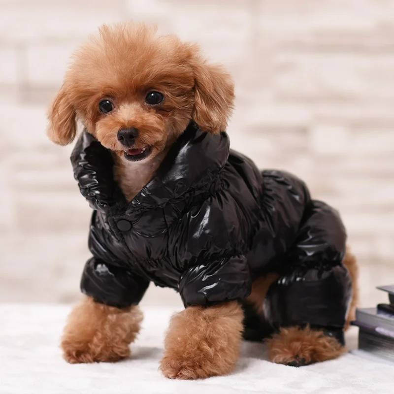 Зимняя одежда для собак для маленьких собак Ветрозащитный снежный комбинезон Пуховик для щенков Роскошная одежда для собак для аксессуаров для собак